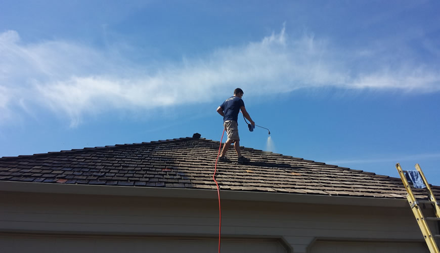 Cedar Roofs NW