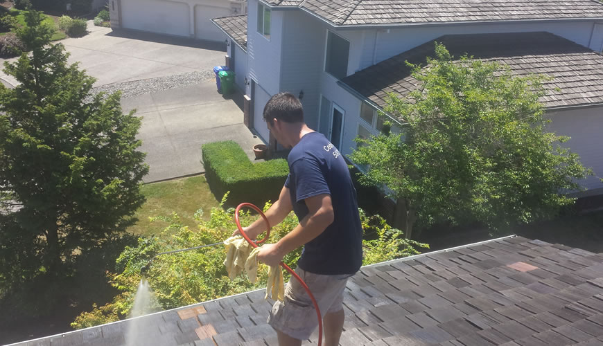 Cedar Roofs NW