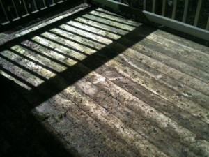 JNR 1 pressure washing a deck before