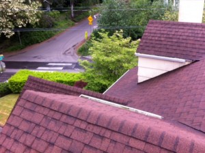 Revive your composition roof by cleaning with our low pressure washing or hand scraping.